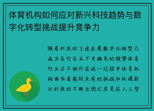 体育机构如何应对新兴科技趋势与数字化转型挑战提升竞争力