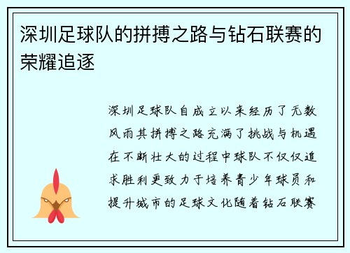 深圳足球队的拼搏之路与钻石联赛的荣耀追逐
