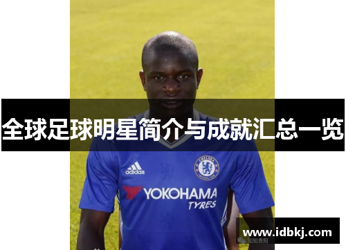 全球足球明星简介与成就汇总一览