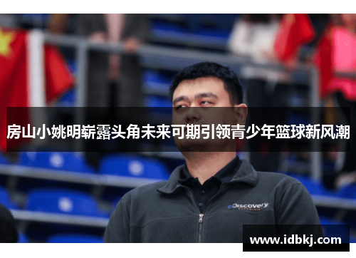 房山小姚明崭露头角未来可期引领青少年篮球新风潮